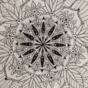 Meet your Posher, Heidi